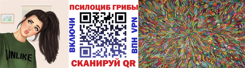 MEGA ССЫЛКА  наркотики  Заводоуковск  Псилоцибиновые грибы Psilocybine cubensis 