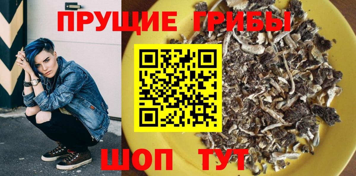 Псилоцибиновые грибы прущие грибы  хочу   Заводоуковск  Псилоцибиновые грибы мухоморы  Вход с VPN 