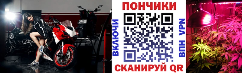 Бошки Шишки конопля  купить наркотики цена  Заводоуковск 